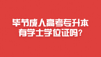 毕节成人高考专升本有学士学位证吗?