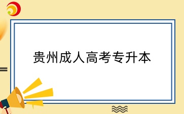 2024贵州成人高考专升本总分多少？